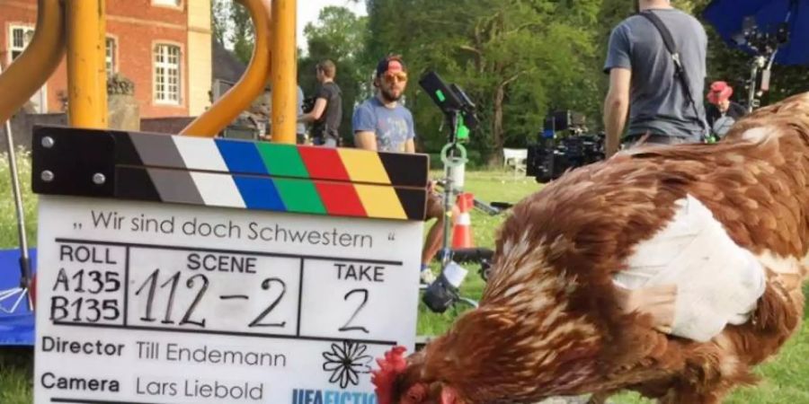 Kein gewöhnliches Huhn: Sieglinde bei Dreharbeiten zu einem Film. Foto: -/Aurelia's Filmtiere/dpa