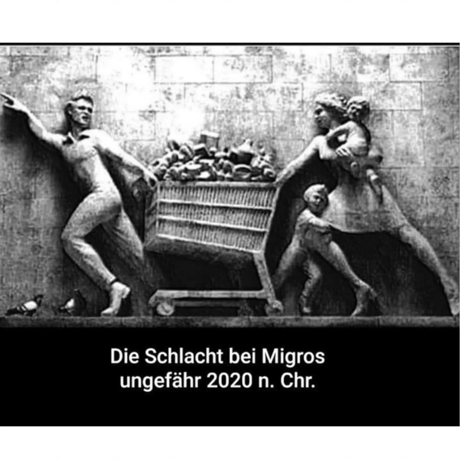 Corona-Memes zum Klopapier.