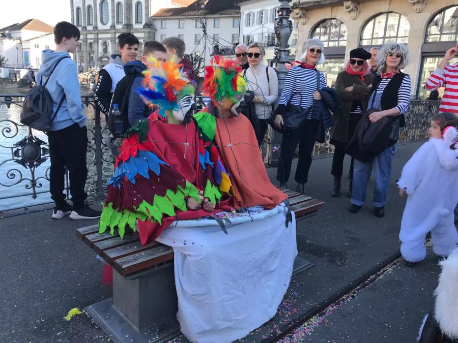 «Du gosch ohni Znacht is Bett!» krächzten zwei Damen im Papageien-Käfig.