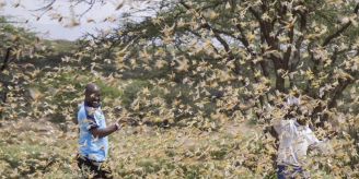 Zwei Festnahmen Nach Tod Von Schweizer Missionarin In Kenia