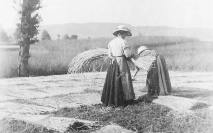 Strohbleichen in Villmergen, ca. 1905. Strohmuseum im Park