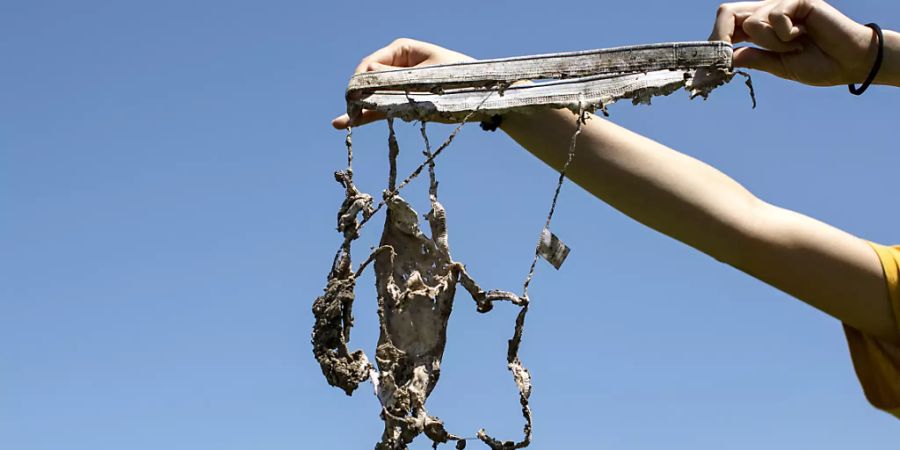 Winzlinge im Boden zersetzten die Unterhose so stark, dass sie nach zwei Monaten im Erdreich kaum wiederzuerkennen ist.