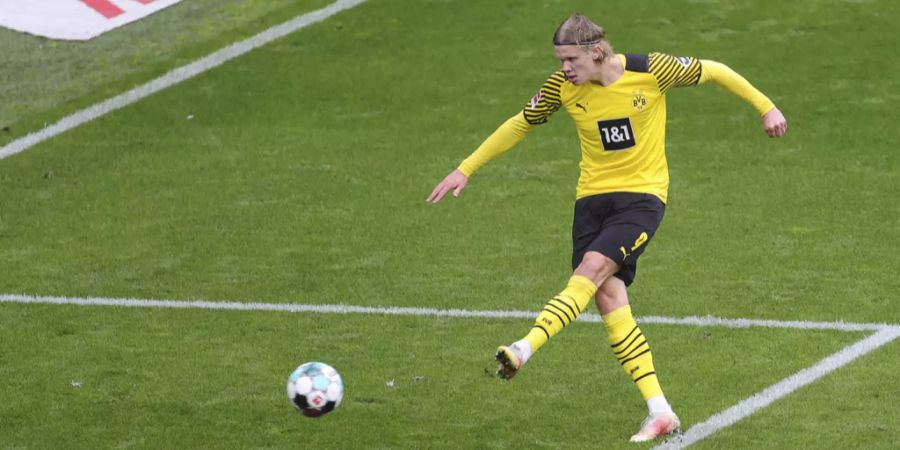 BVB Erling Haaland