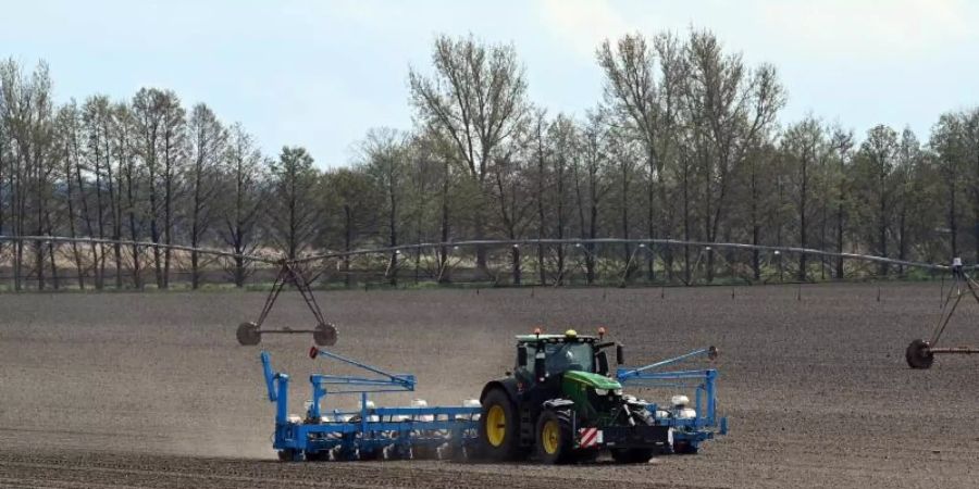 Ein Landwirt fährt mit dem Traktor und angehängter Maislegemaschine über das Feld. Foto: Soeren Stache/dpa-Zentralbild/dpa