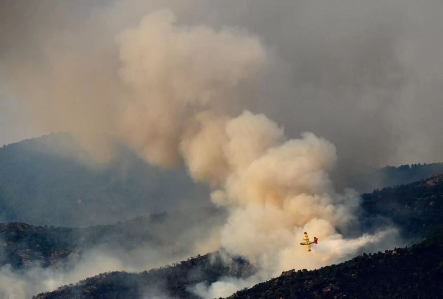 Waldbrand Katalonien