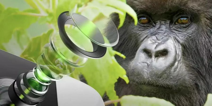 Licht Gorilla Glass