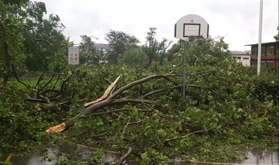 Einzig der Baskettballkorb blieb verschont.