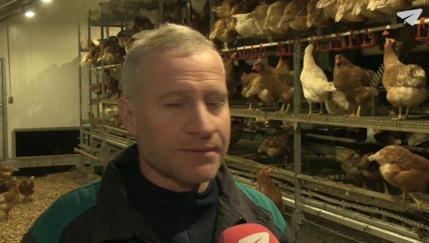 be-vogelgrippe