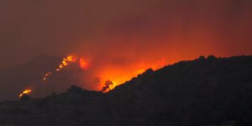 Flächenbrand