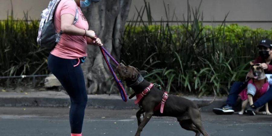 Frau hält einen Hund an der Leine