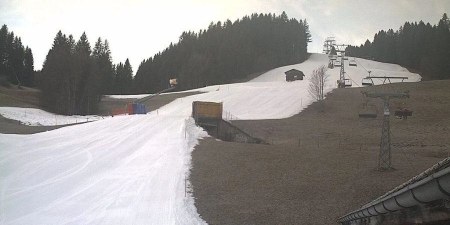 Die Bilder von grünen Pisten aus der Altjahreswoche haben Wintersportbegeisterte offenbar nicht abgeschreckt.