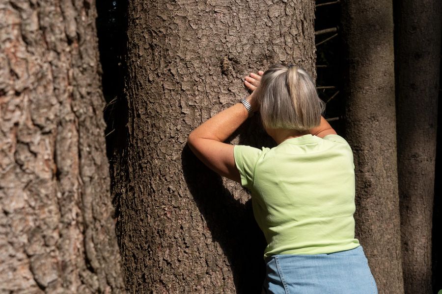 Frau Baumstamm Umarmen Waldbaden