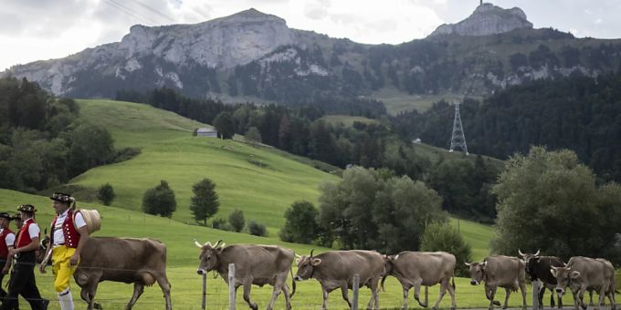 Wohin soll die Landwirtschaft gehen? Der Ständerat debattiert am Dienstag über die Agrarpolitik der Zukunft. (Themenbild) Wohin soll die Landwirtschaft gehen? Der Ständerat debattiert am Dienstag über die Agrarpolitik der Zukunft. (Themenbild)