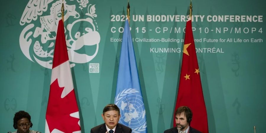 Teilnehmer der Weltnaturkonferenz optimistisch hinsichtlich einer Einigung