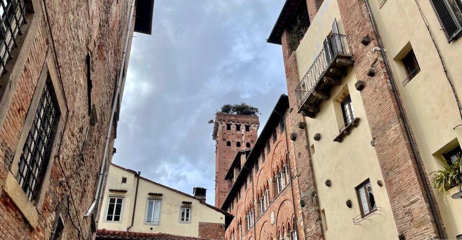 Der Torre Guinigi in Lucca aus einer Seitenstrasse aufgenommen.