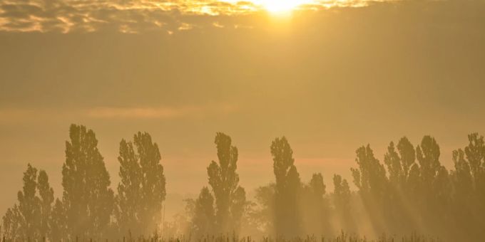 Diese Woche wird es vor allem am Morgen noch neblig sein. Wetter
