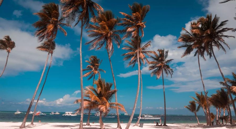 Der Bavaro Beach in Punta Cana