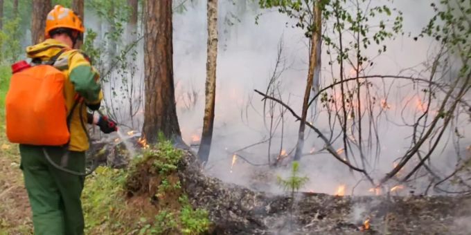 Tausende Hektar - Freiwillige kämpfen gegen Waldbrände in Sibirien