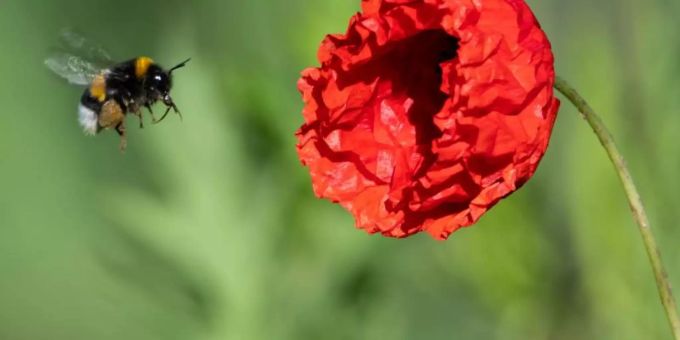 Die Temperaturen sollen sogar auf bis zu 32 Grad klettern. Foto: Federico Gambarini Die Temperaturen sollen sogar auf bis zu 32 Grad klettern. Foto: Federico Gambarini