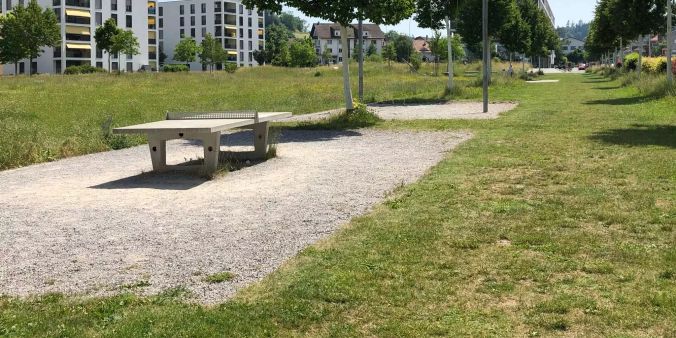 Pingpong Tische Liebefeld Park
