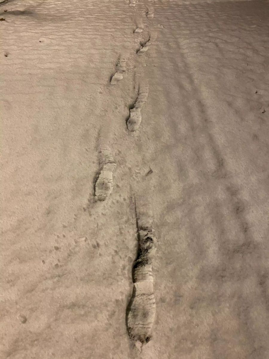 Erste Fussspuren im Schnee am frühen DIenstagmorgen.