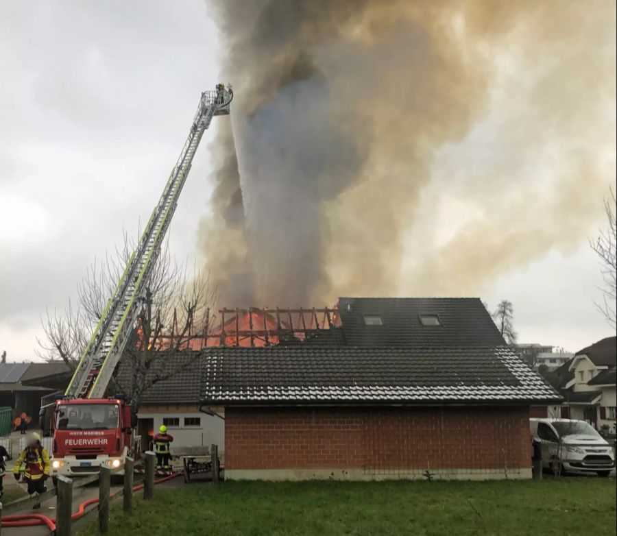 brand sursee mauensee