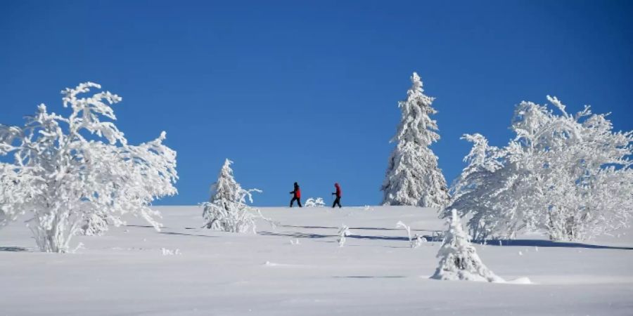 Verschneite Landschaft