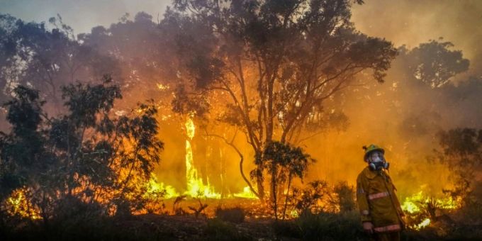 Waldbrand in Australien im Dezember 2021 Waldbrand in Australien im Dezember 2021
