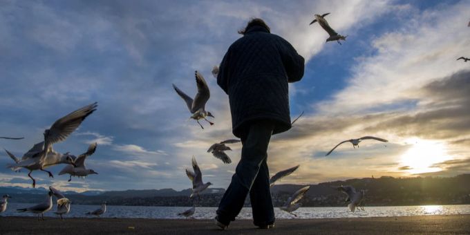 Eine Person geht am Ufer des Zürichsees entlang. Zürichsee Wetter