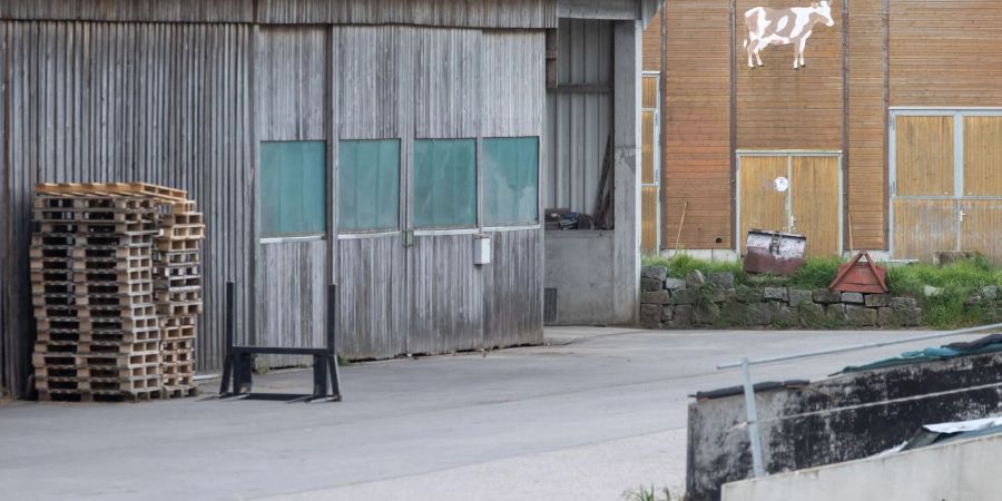 In einem Mastbetrieb in Ansbach sind nach Angaben der Staatsanwaltschaft rund 170 Rinder verendet.