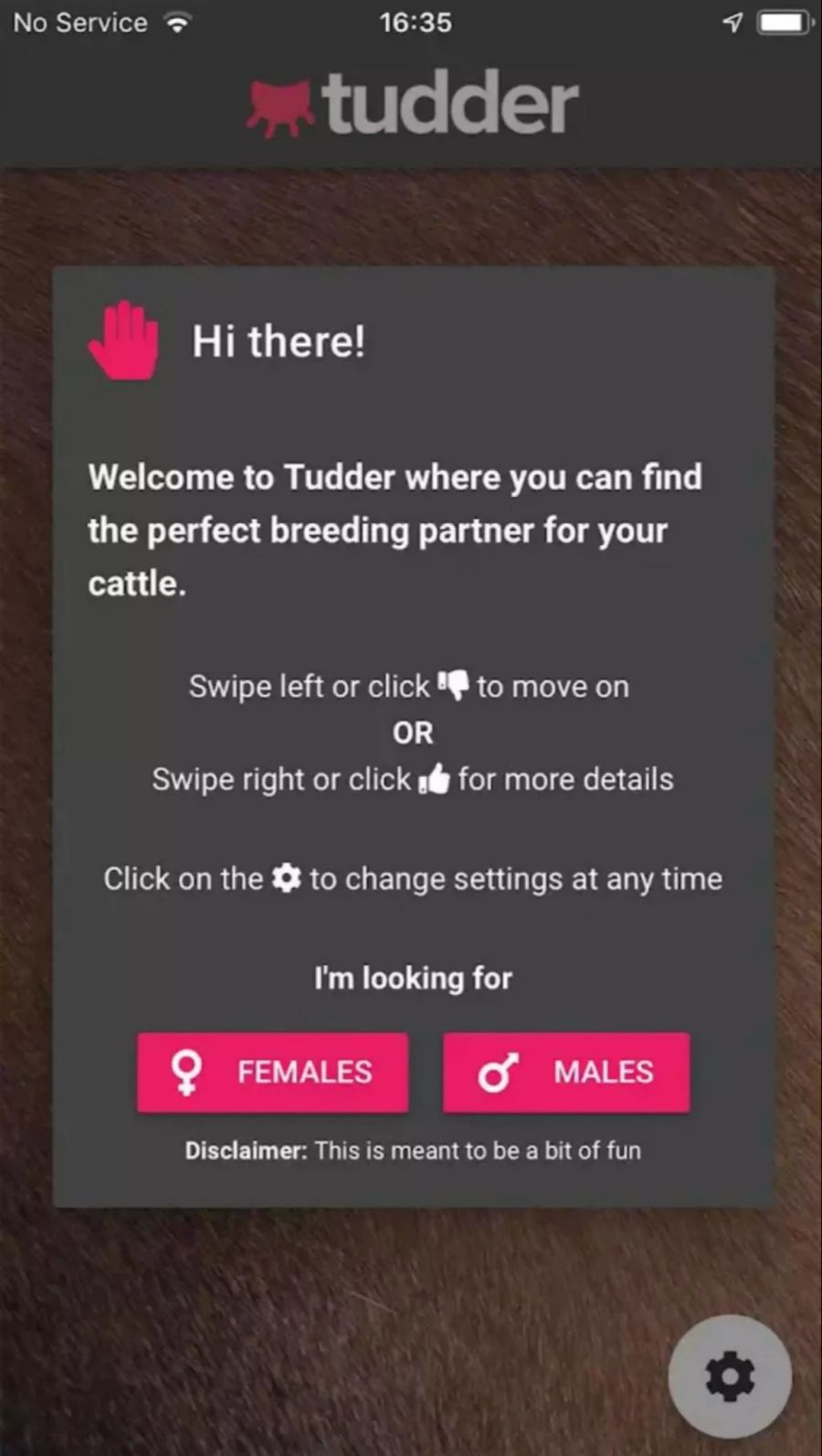 Tudder App Screenshot