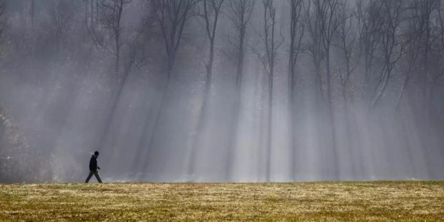 Ein kurzer Spaziergang könnte schon reichen, um Stress deutlich zu reduzieren. Das ist zumindest das Ergebnis einer Studie der US-amerikanischen Universität Michigan. Foto: Christoph Soeder