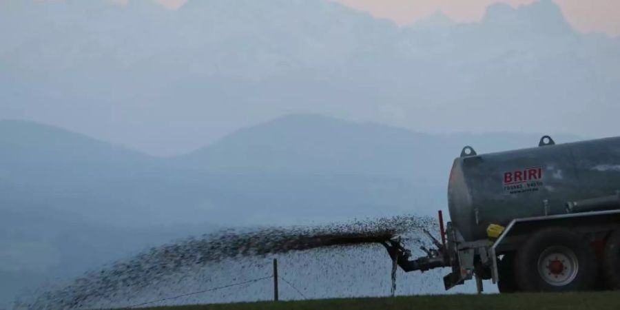 Die Bundesregierung hat die Regeln für Landwirte schon verschärft, aber aus Brüsseler Sicht nicht ausreichend. Foto: Karl-Josef Hildenbrand