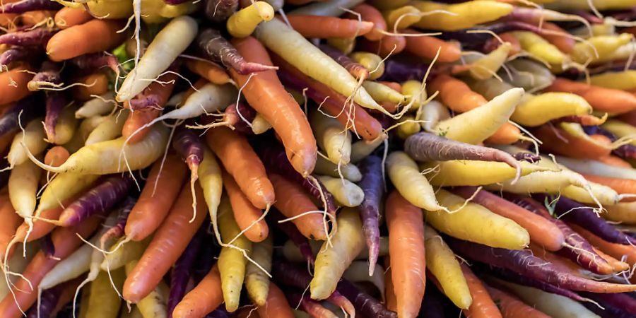 Vegetarische Ernährung