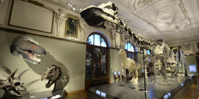 Naturhistorisches Museum Wien Dinosaurier Knochen