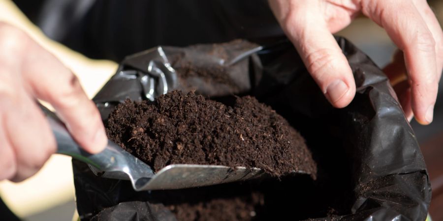Blumenerde muffeln schlecht frisch