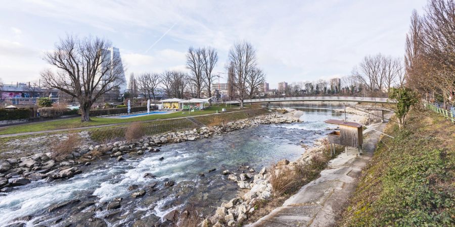 Das Birsköpfli (manchmal auch Birskopf genannt) ist eine Naherholungszone in der Stadt Basel und der Agglomerationsgemeinde Birsfelden. Es befindet sich an der Mündung der Birs in den Rhein.