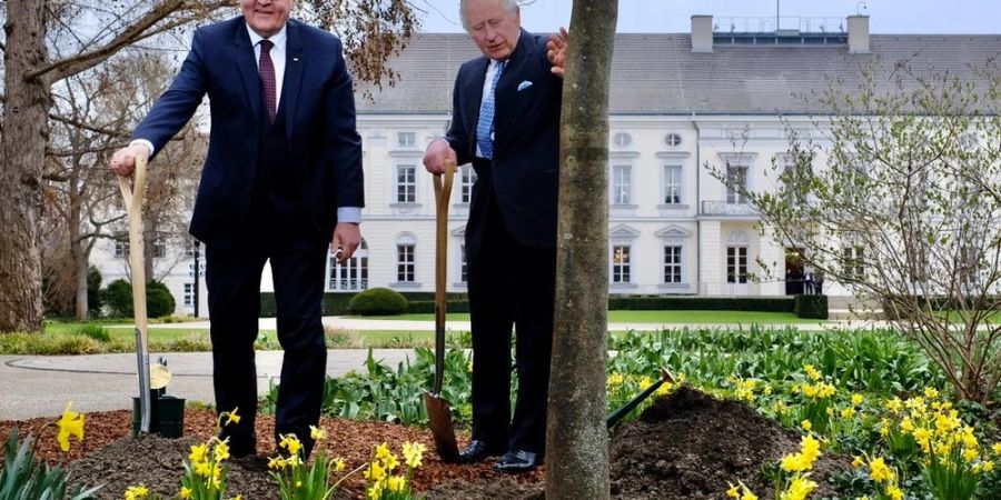 Im Garten von Schloss Bellevue pflanzten König Charles III. und Bundespräsident Steinmeier eine Manna-Esche zu Ehren der Queen.