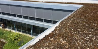 Gemeinde - Die Flachdächer der Bezirksschule müssen saniert werden