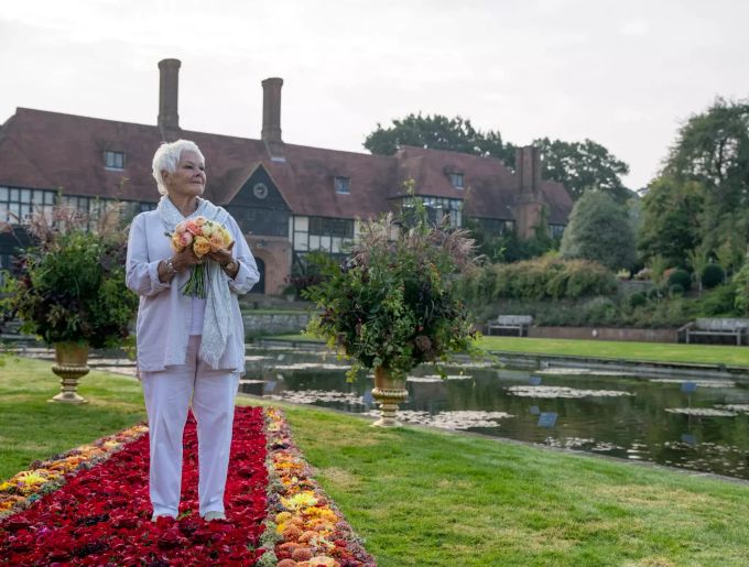 Judi Dench steht auf einem roten Teppich aus Blüten vor der Eröffnung der "RHS Garden Wisley Flower Show", einer jährlichen Blumenschau. Judi Dench wird 85