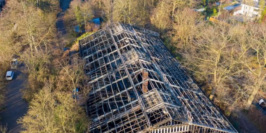 Bei dem Feuer im Affenhaus des Krefelder Zoos waren in der Silvesternacht mehrere Menschenaffen gestorben, darunter Orang-Utans, Gorillas und ein Schimpanse. Foto: Christoph Reichwein/dpa