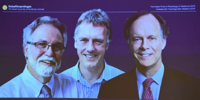 Die drei Preisträger Semenza, Ratcliffe und Kaelin (L nach R)