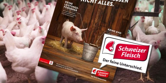 Labels: Schweizer Tierschutz wehrt sich gegen Kritik von ...