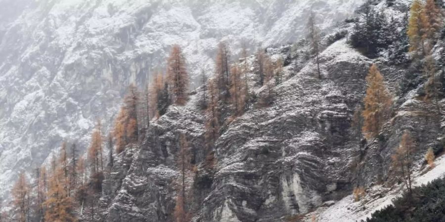 Schnee auf der Nordseite der Zugspitze. Foto: Angelika Warmuth/dpa