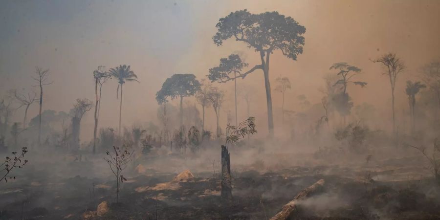 Zweifel in Brasilien