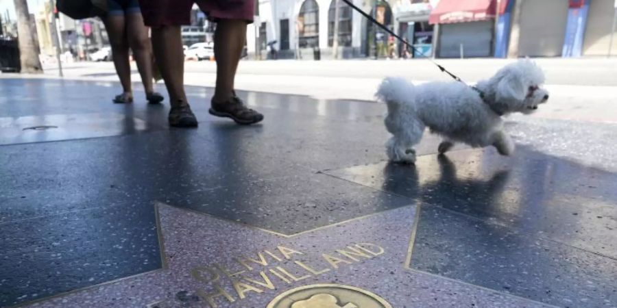 Schauspielerin Olivia de Havilland hat auf dem Hollywood Walk of Fame einen Stern. Foto: Ringo Chiu/ZUMA Wire/dpa