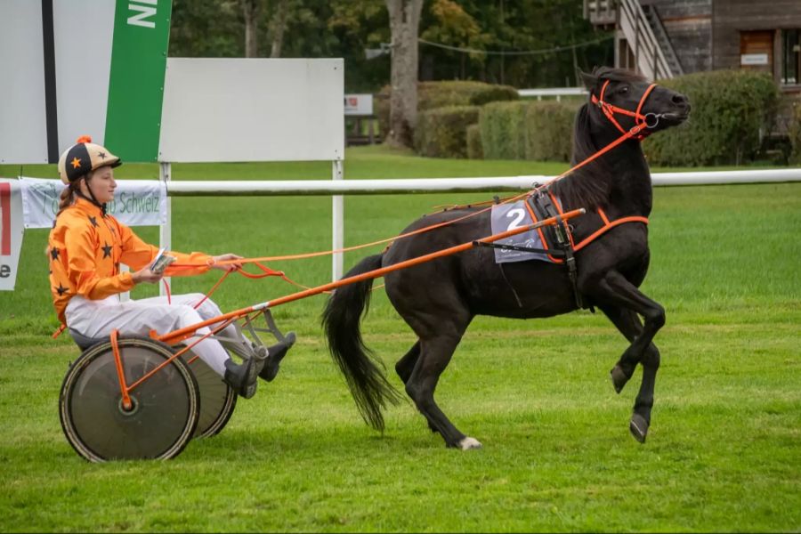 Ponytrainingsrenntag Aarau