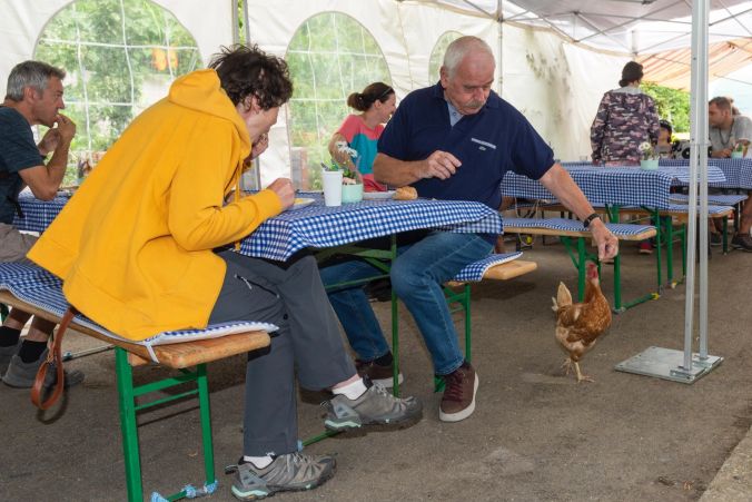Ich wollt' ich wär ein Huhn ...