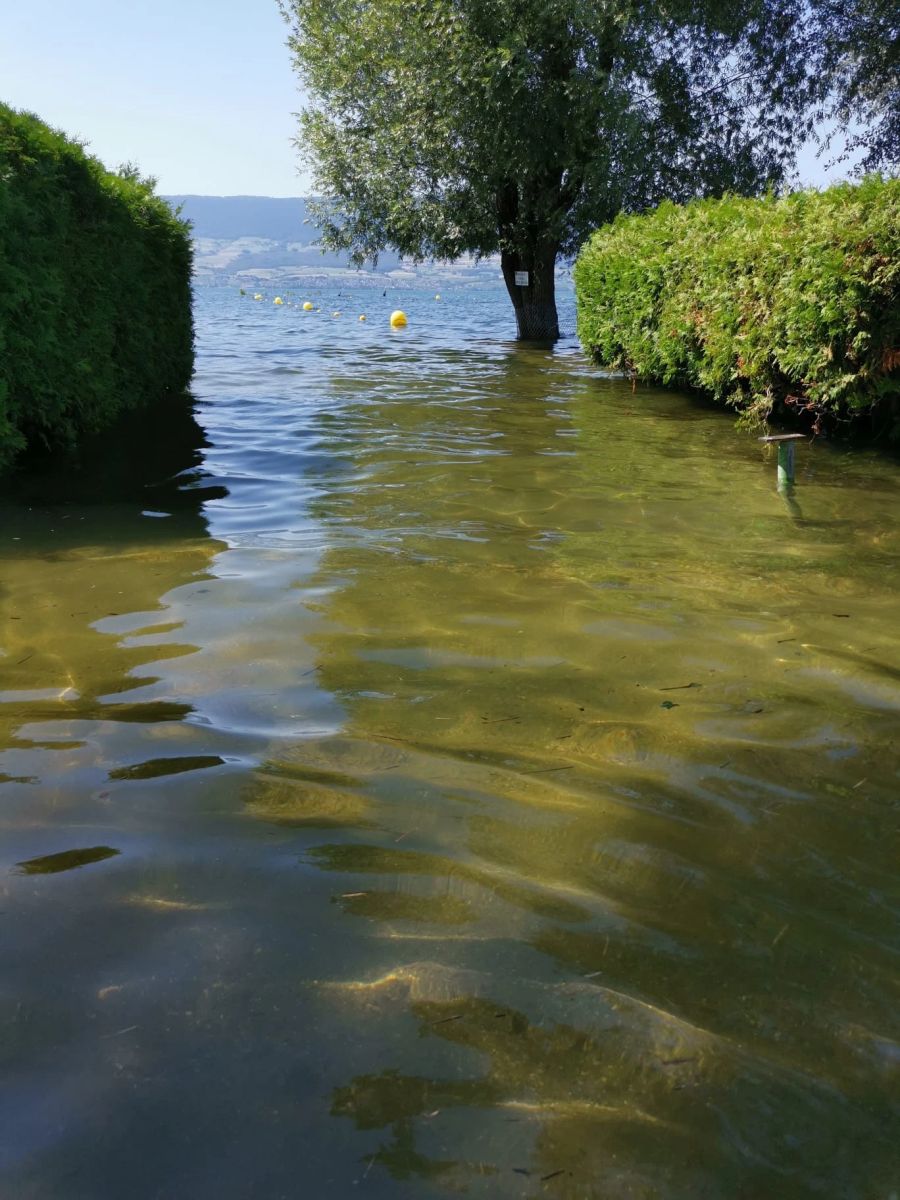 Nun müssen die Camper am Neuenburgersee aber erneut zittern. Zum Vergleich: So sah es am Neuenburgersee im Juli 2021 aus.