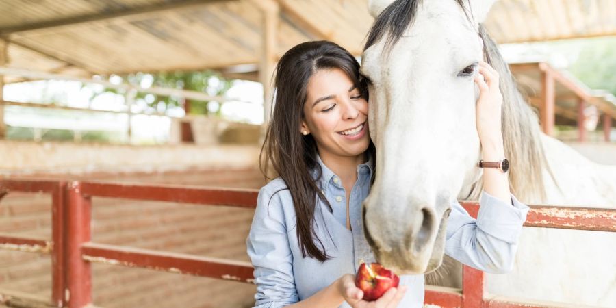 Eine ausgewogene Ernährung ist für Pferde wichtig.